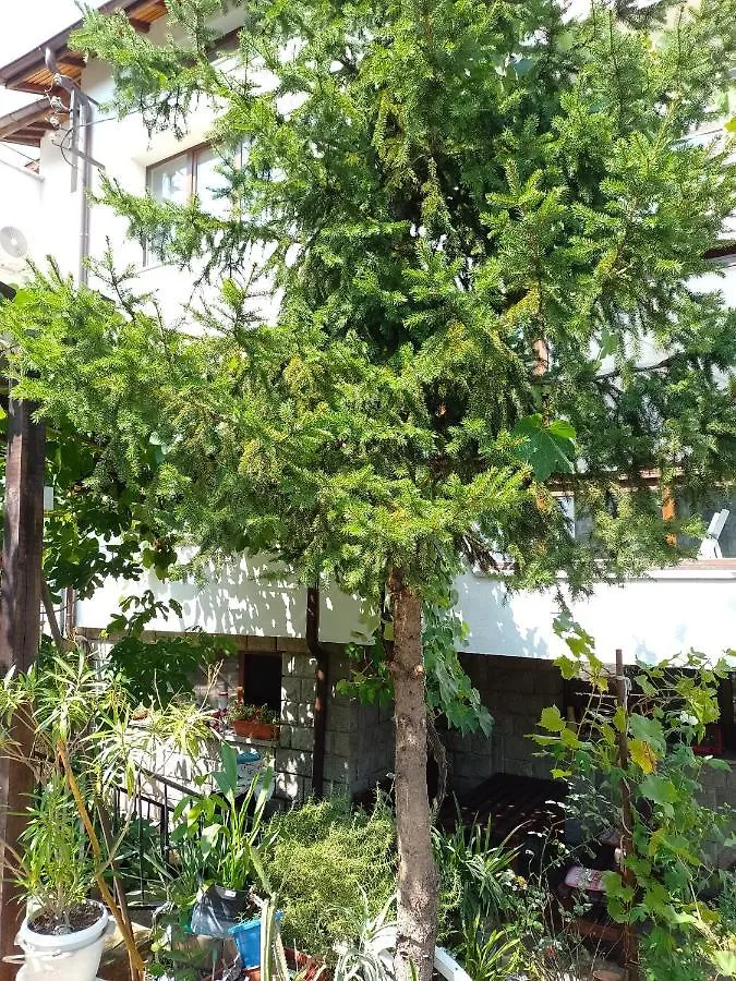 Цвят Бяло Appartement Sofia